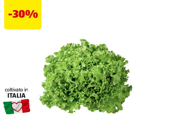 I COLORI DEL SAPORE Lattuga Gentile