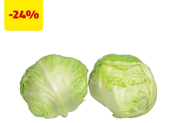 Lattuga iceberg