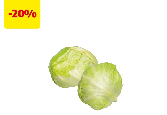 Lattuga iceberg