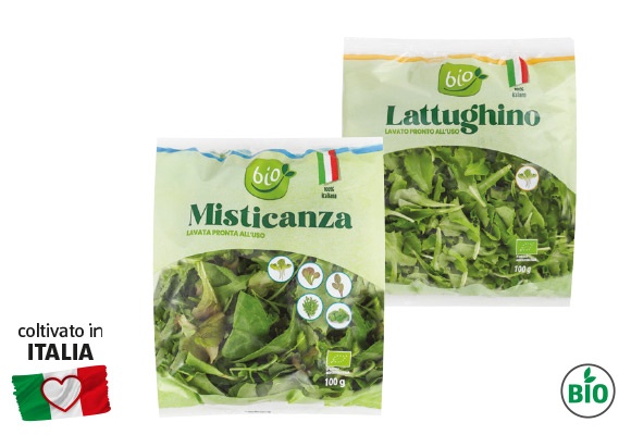 BIO Lattughino/misticanza BIO 100 g