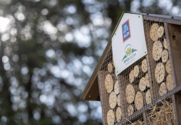 Rovartelepítés képek