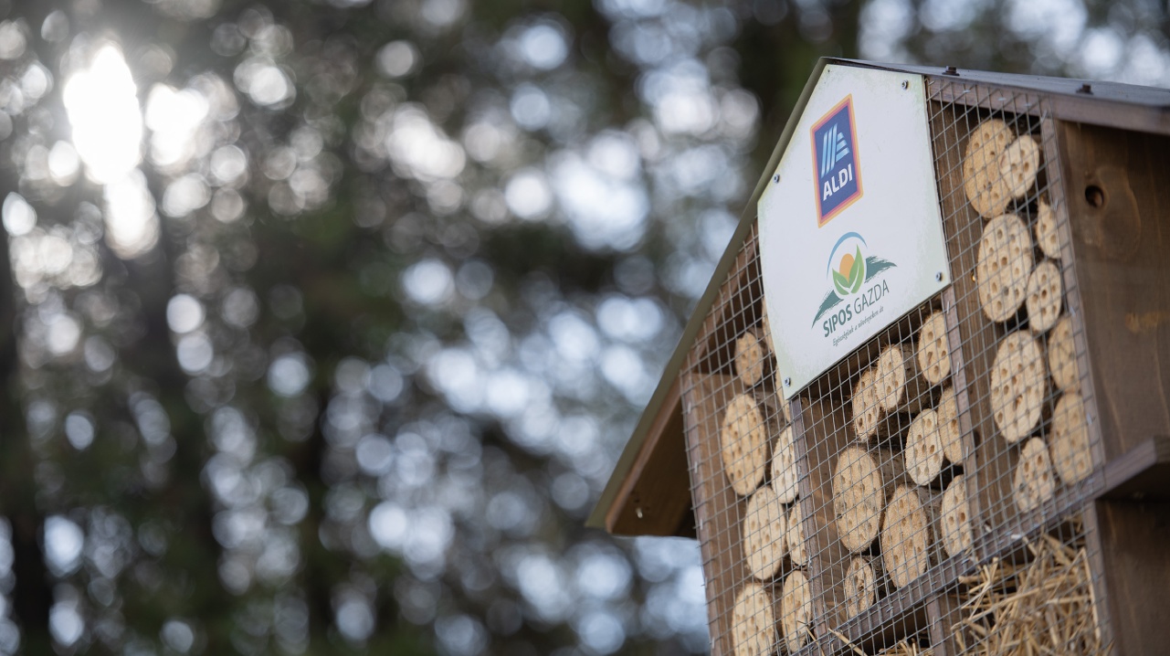 Rovarhotel - Fehérvárcsurgó