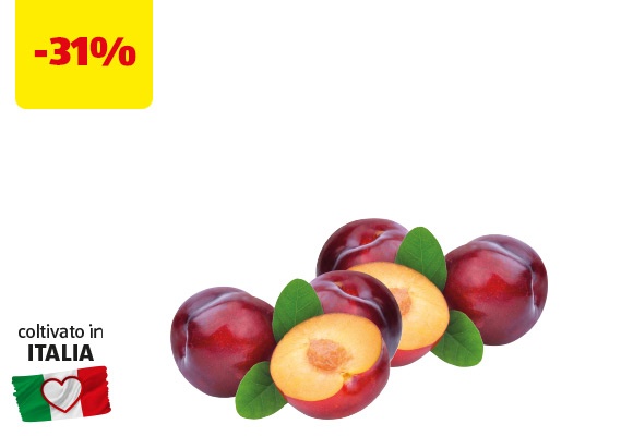 I COLORI DEL SAPORE Susine 1 kg