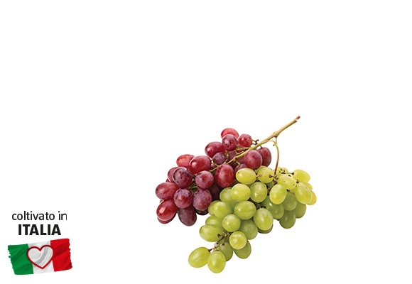 I COLORI DEL SAPORE Uva mista senza semi 500 g