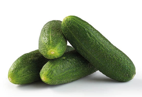 Kovászolni való uborka