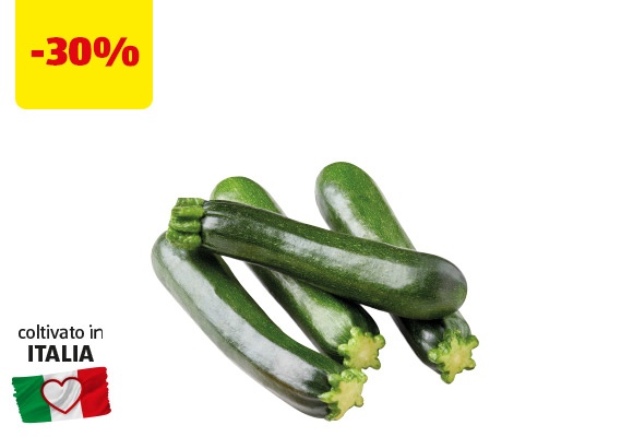 I COLORI DEL SAPORE Zucchine