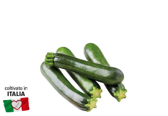 I COLORI DEL SAPORE Zucchine