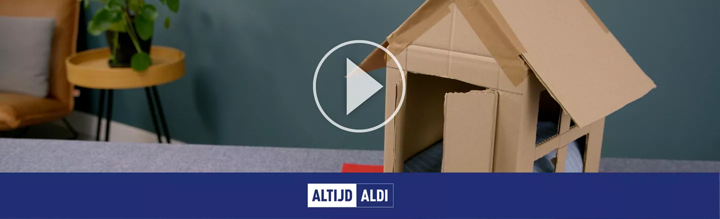 kattenhuis maken karton