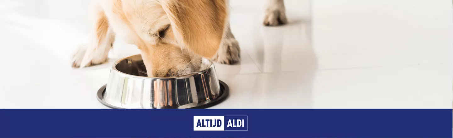 beste hondenvoer voor jouw hond