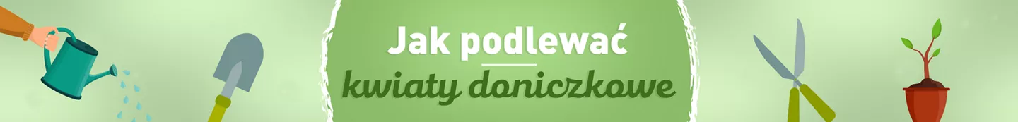 jak podlewać kwiaty