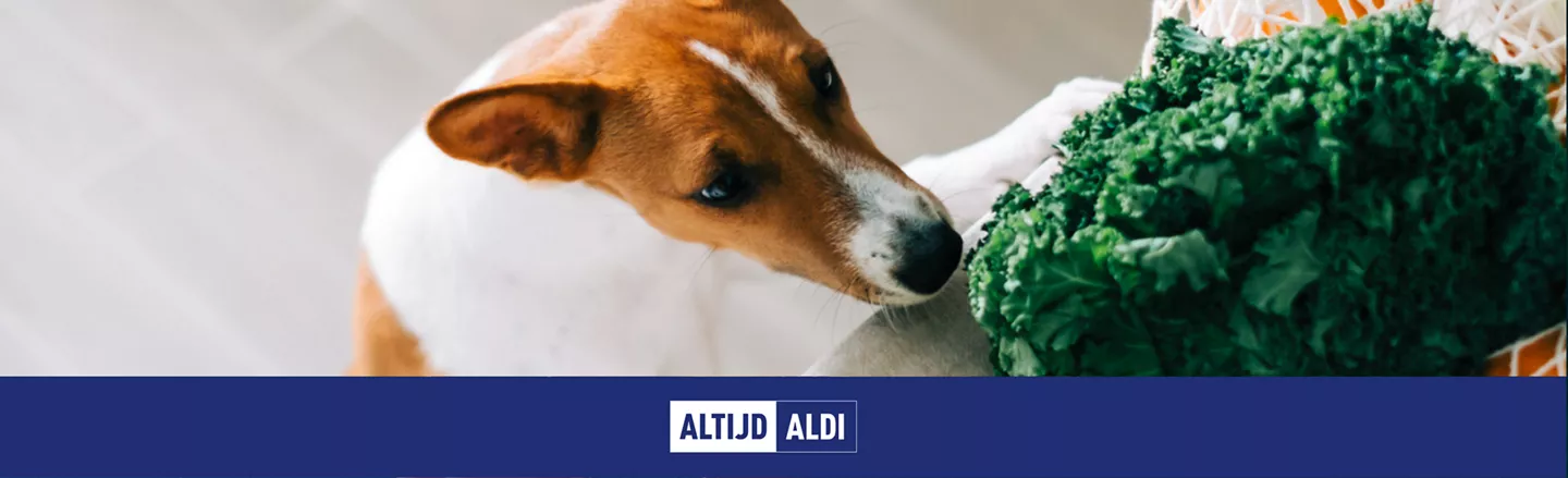 groenten voor honden