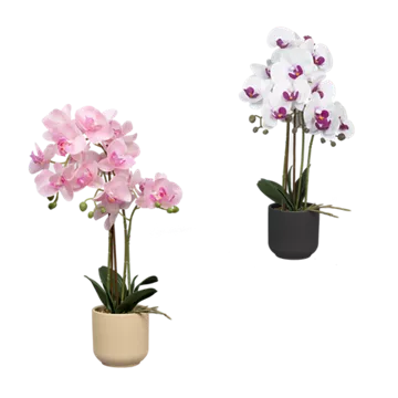Naturgetreue Orchidee
