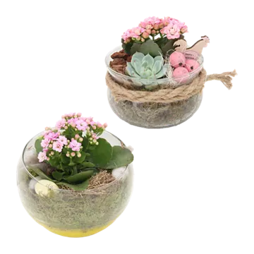 Bepflanztes Osterglas