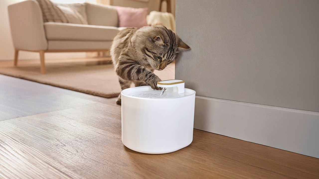  Trinkbrunnen für Haustiere