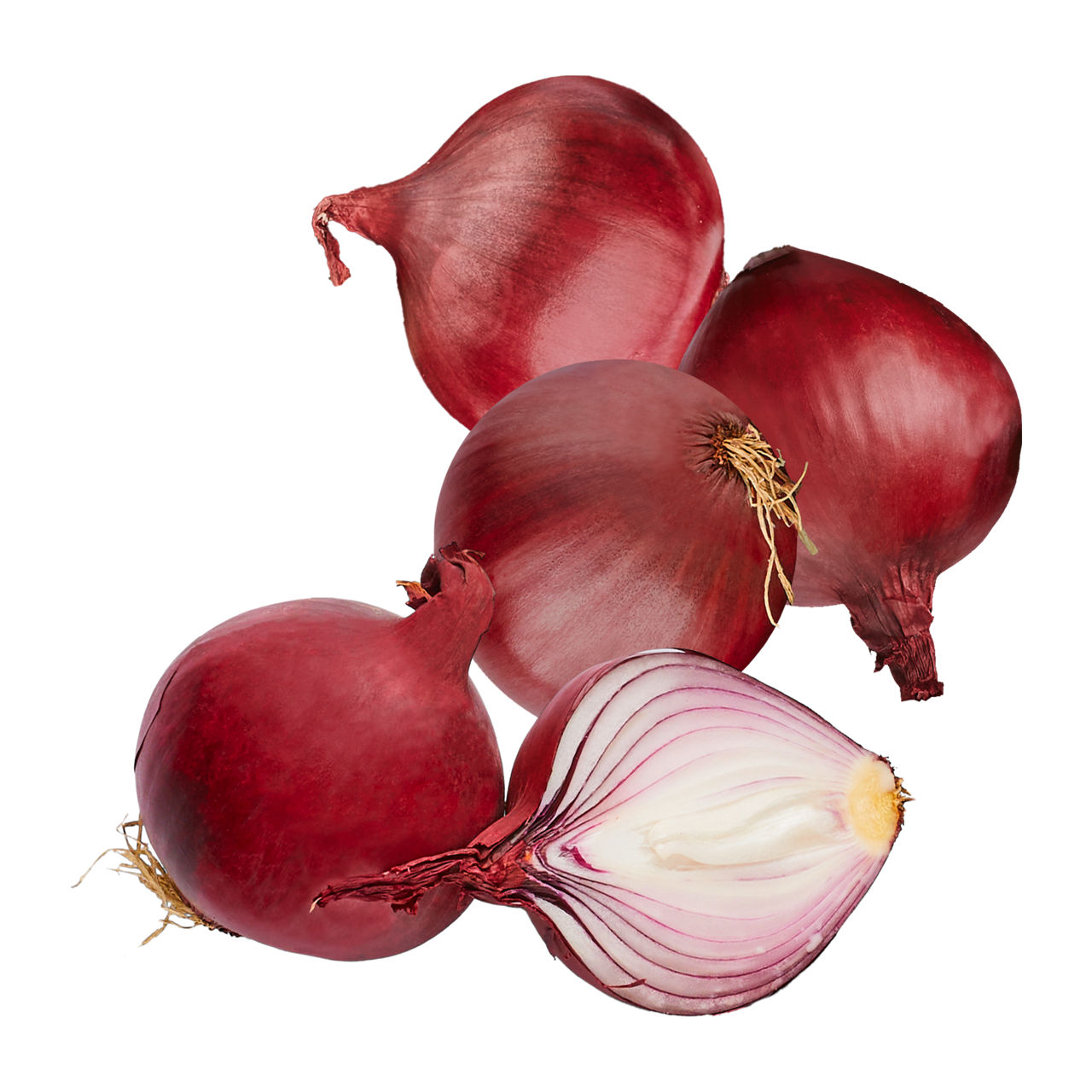  Zwiebeln rot