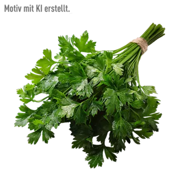 Petersilie glatt