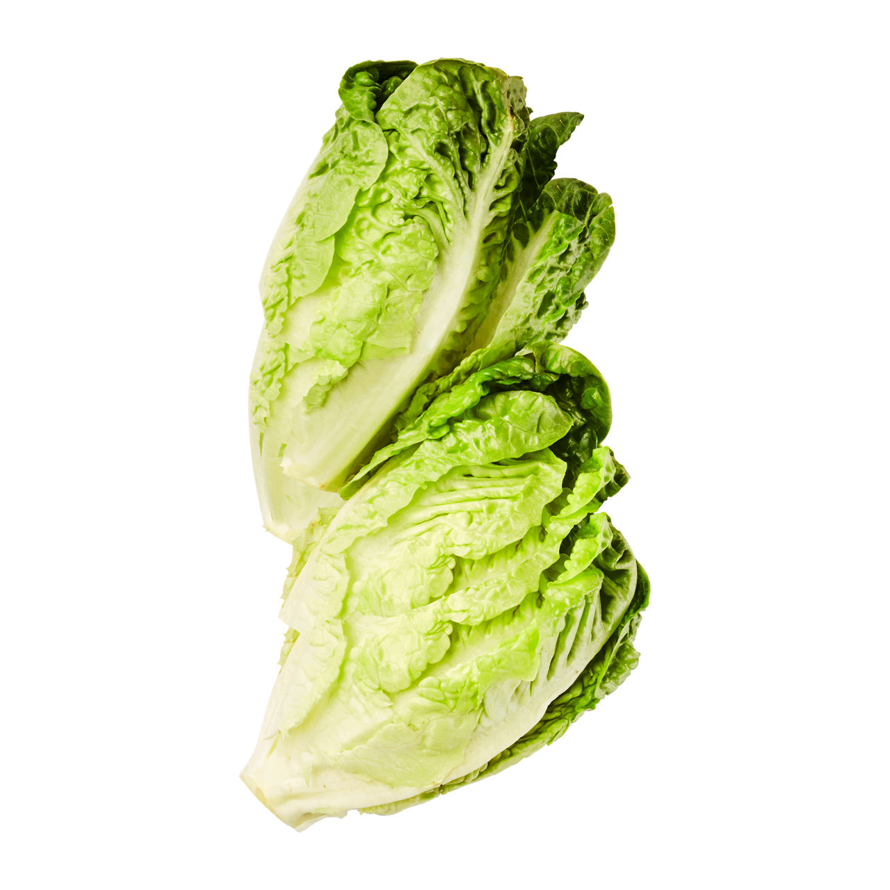  Mini-Romana-Salatherzen