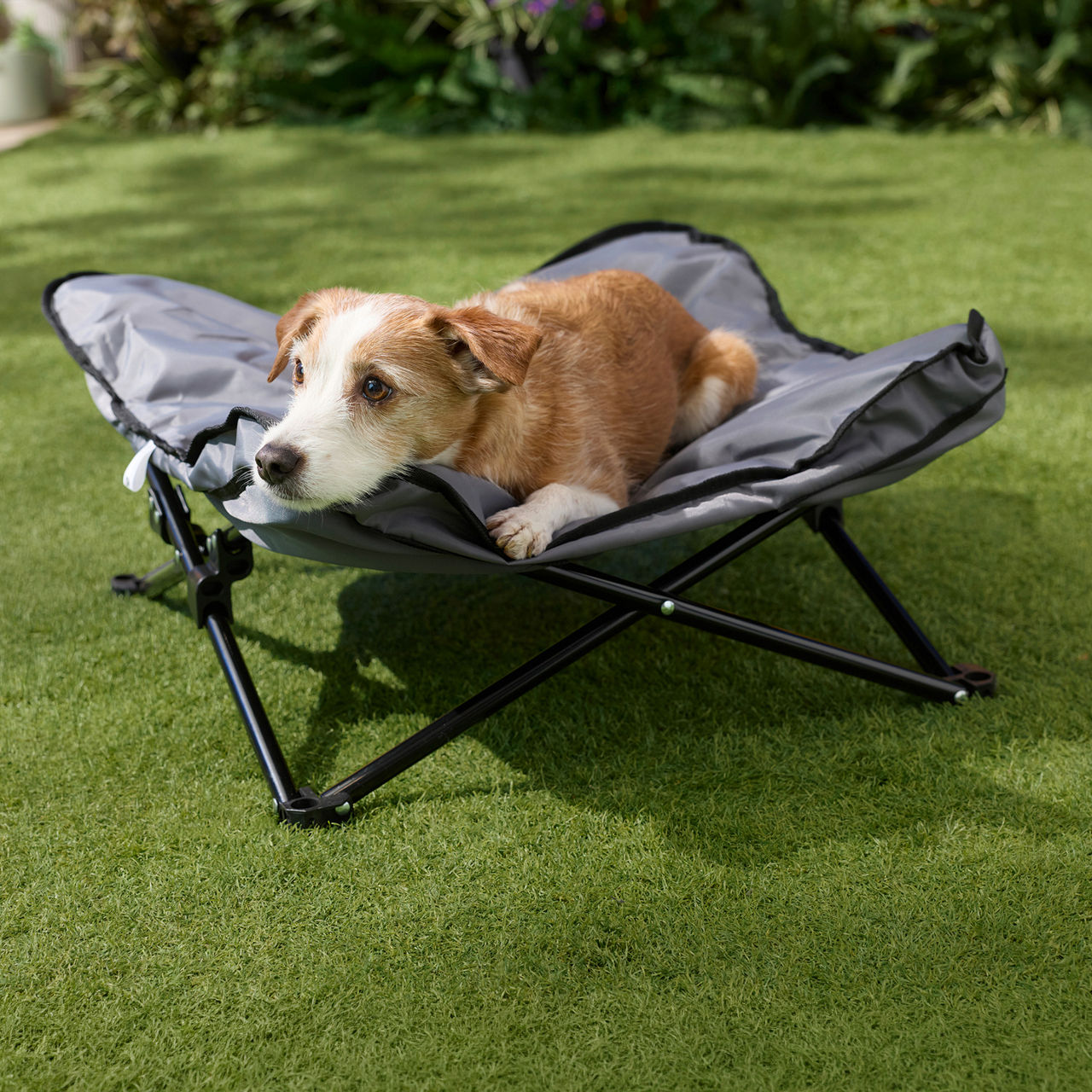 halsband gegen zecken für hunde Zeckenhalsband Hund – Natürlicher Schutz main image 1