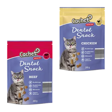 Dental-Snack