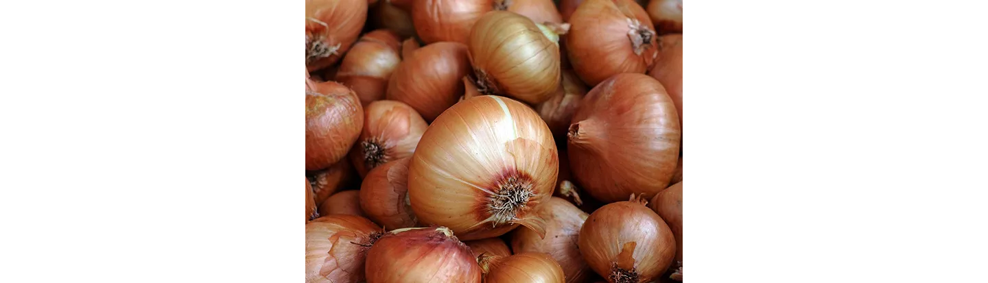 Cebollas para pochar