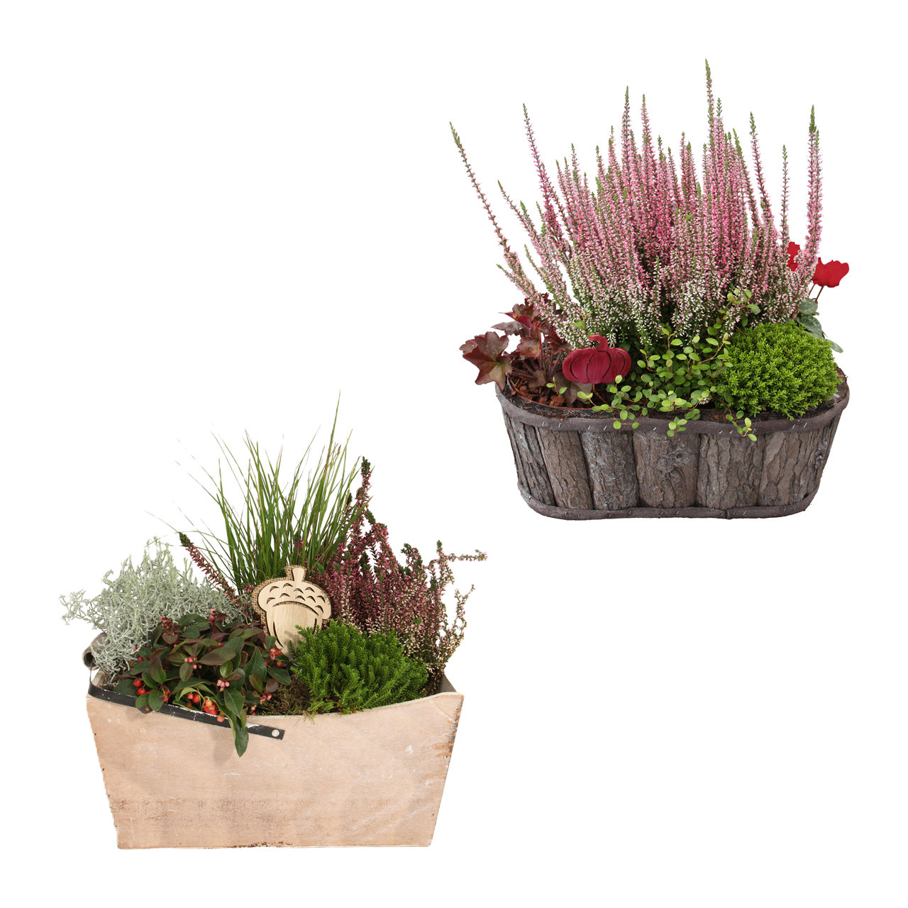  Bepflanztes Holzgefäß