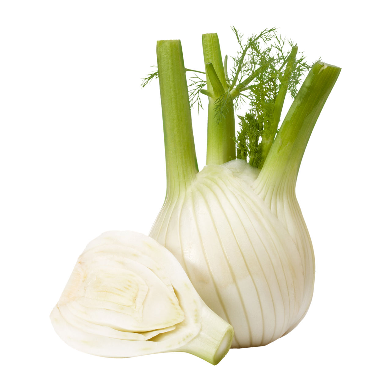  Fenchel
