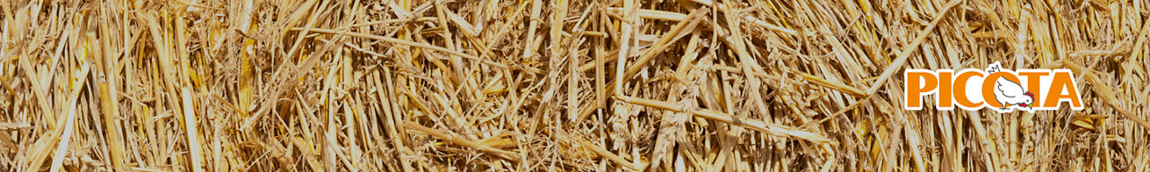 PICOTA®