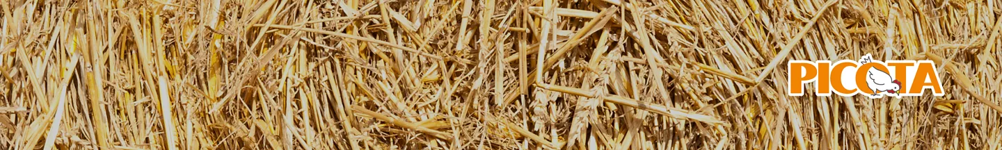 PICOTA®