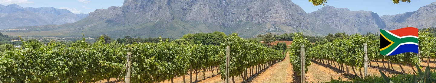 Wijnland Zuid-Afrika bij ALDI