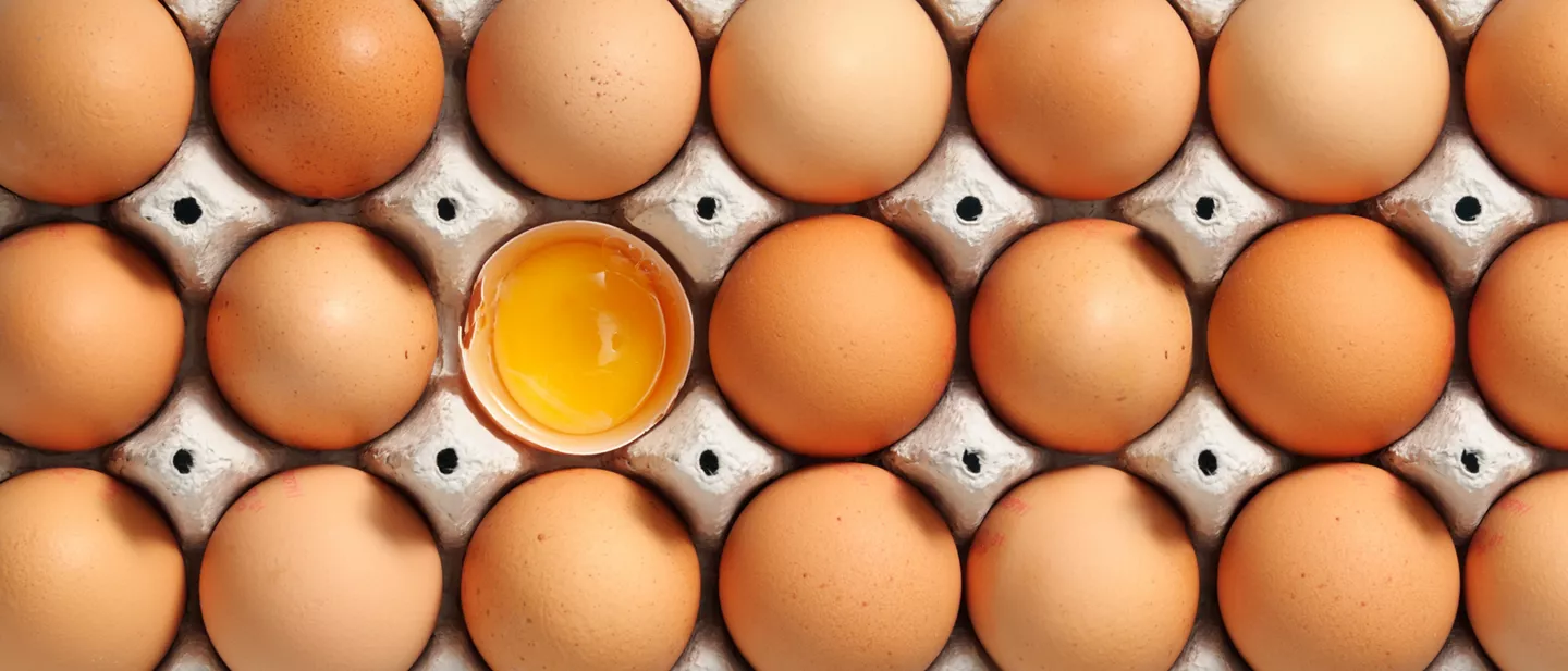 Eieren met een Beter Leven keurmerk bij ALDI