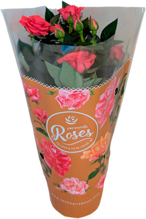 Rosal