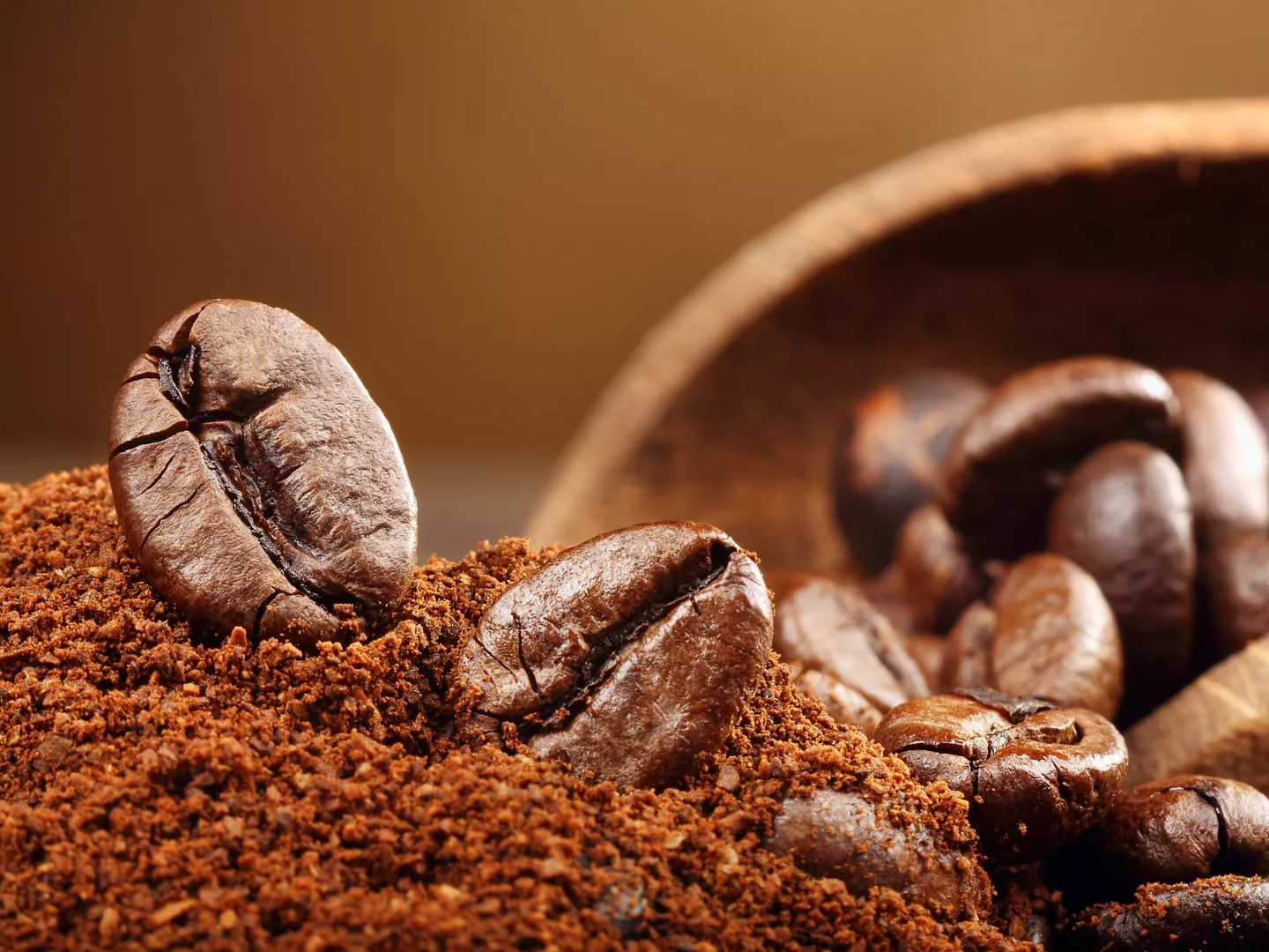 Primer plano granos café arábica molido