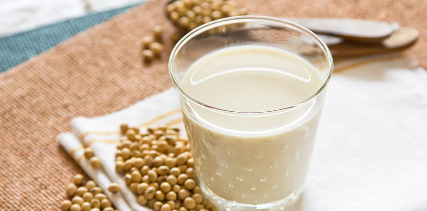 Vaso fermentados bebida soja