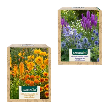 Stauden für den Sommergarten