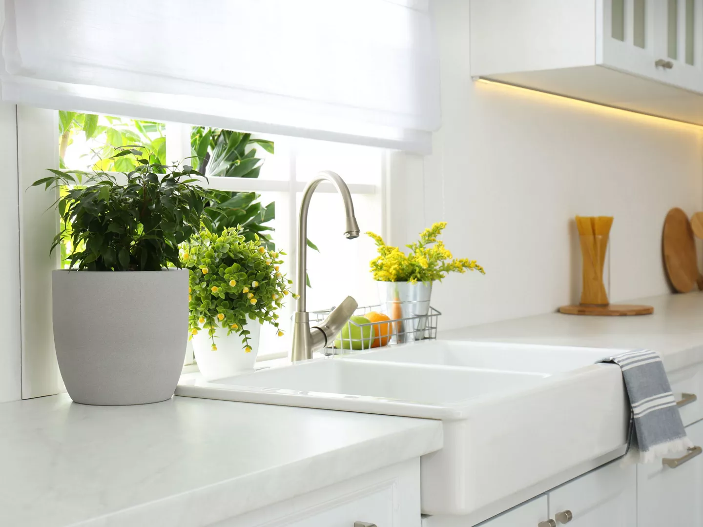 Fregadero doble cerámica bonita cocina plantas