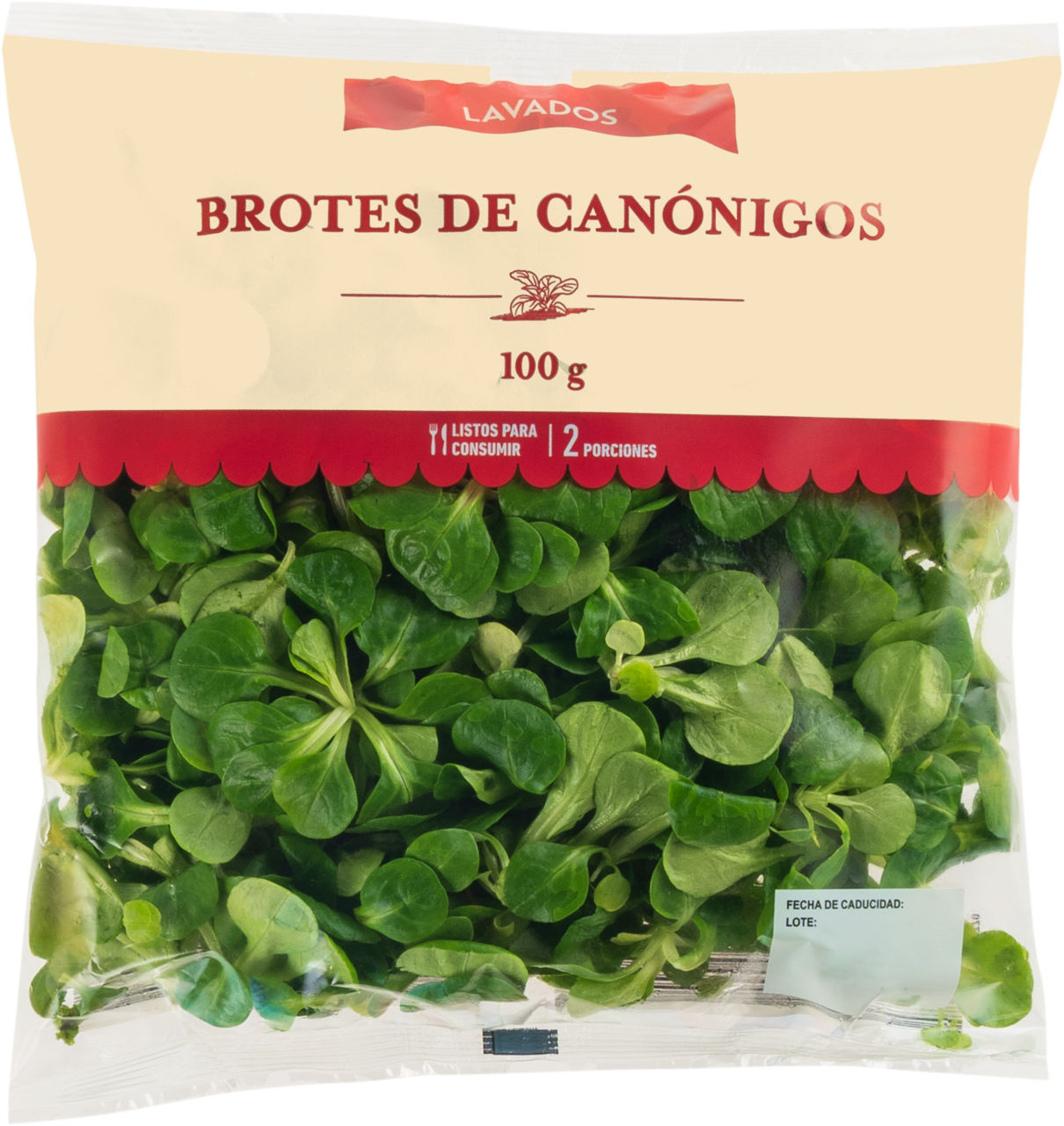 Canónigos