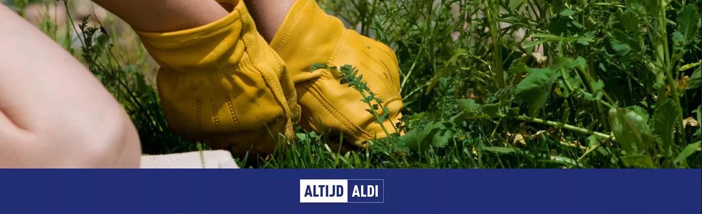 onkruid verwijderen