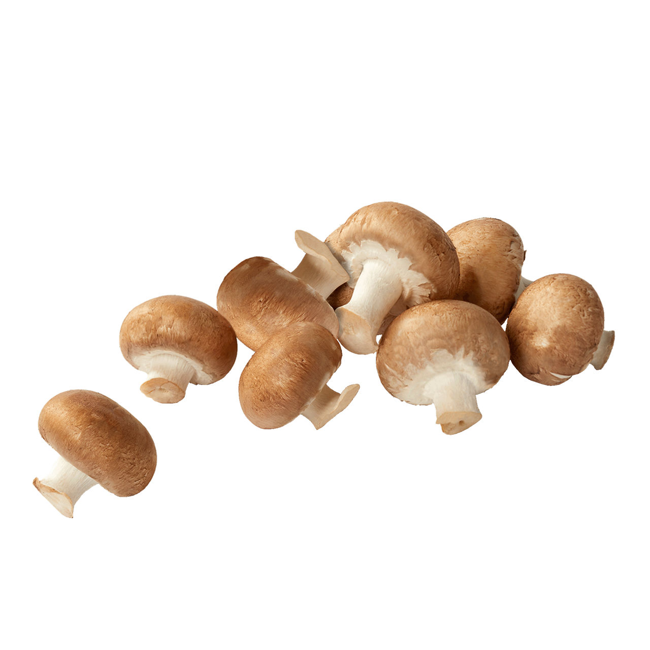 Kastanjechampignons (2 x 250 g)