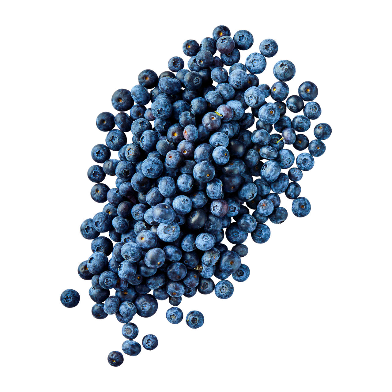  Kulturheidelbeeren