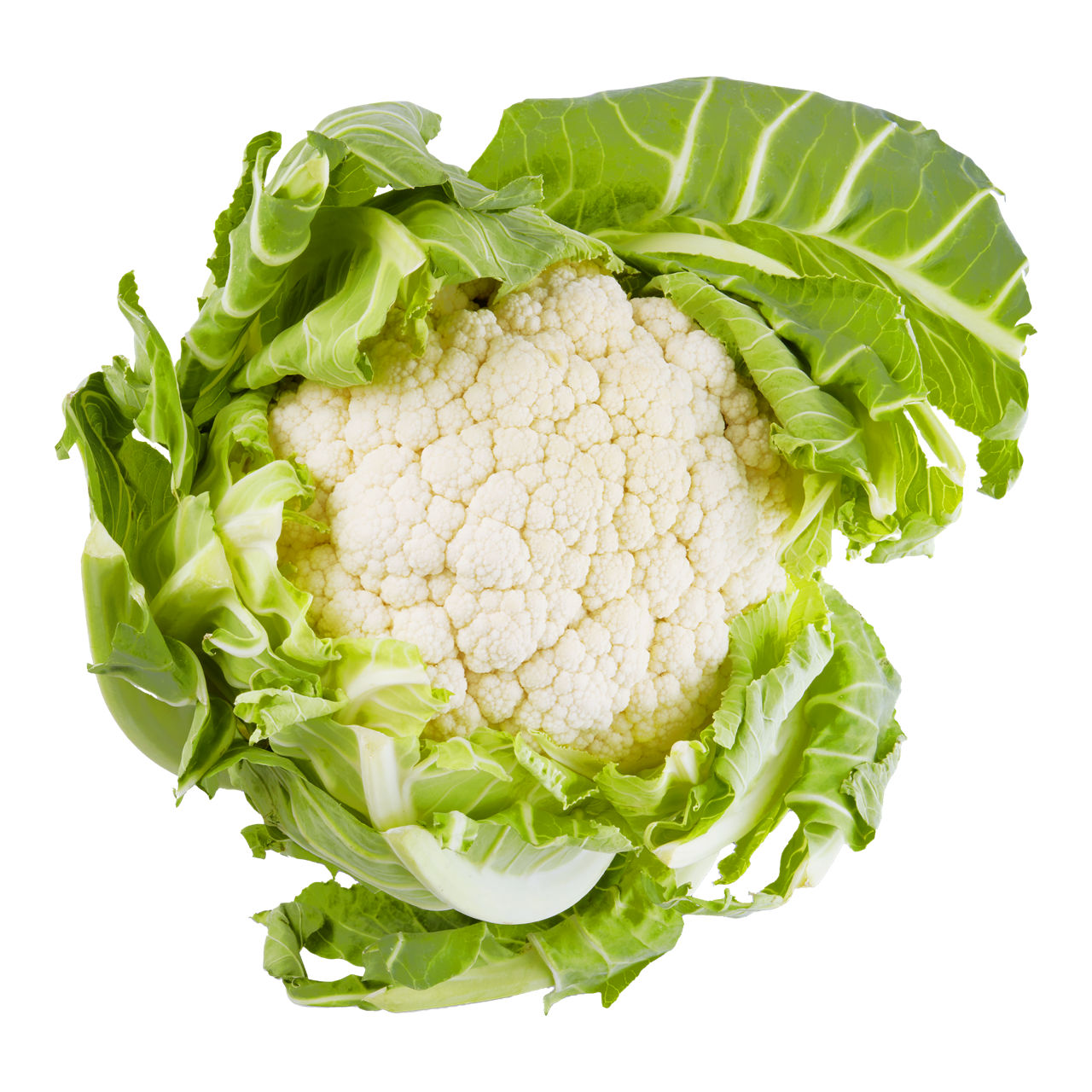 Bloemkool