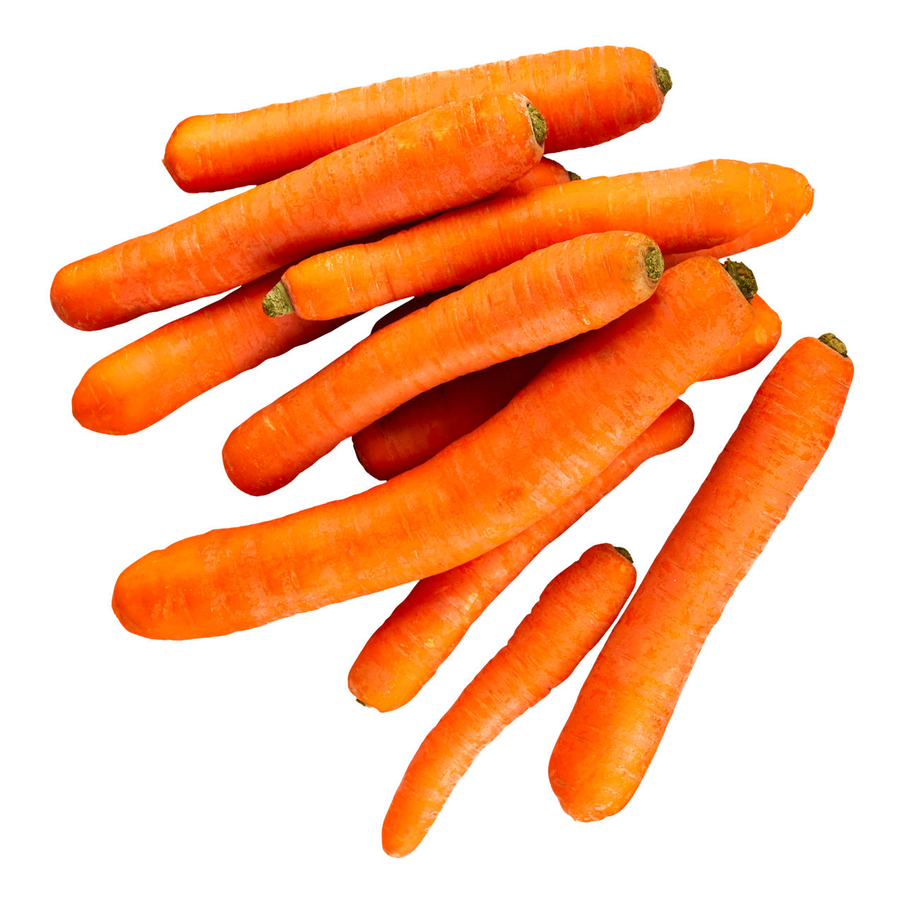 Wortelen (1 kg)