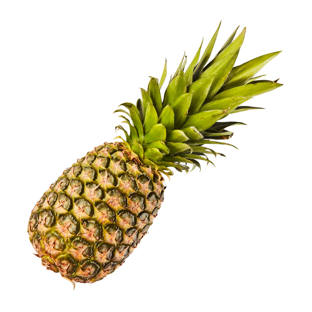 Ananas
