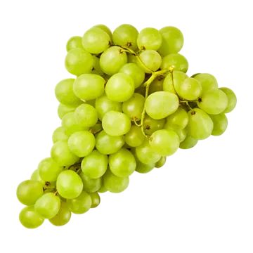 Tafeltrauben hell