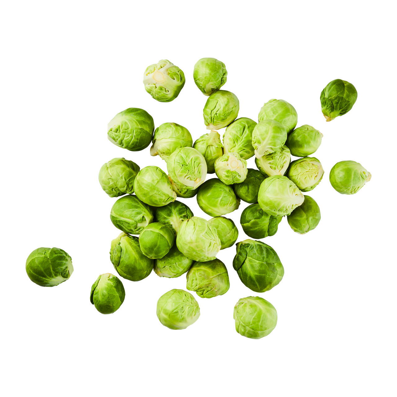  Rosenkohl