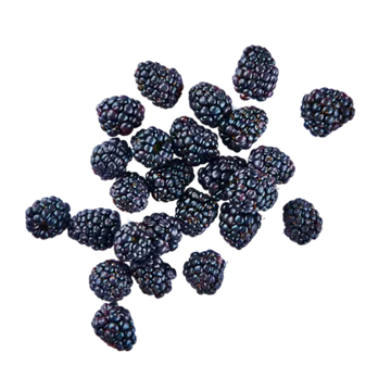Brombeeren