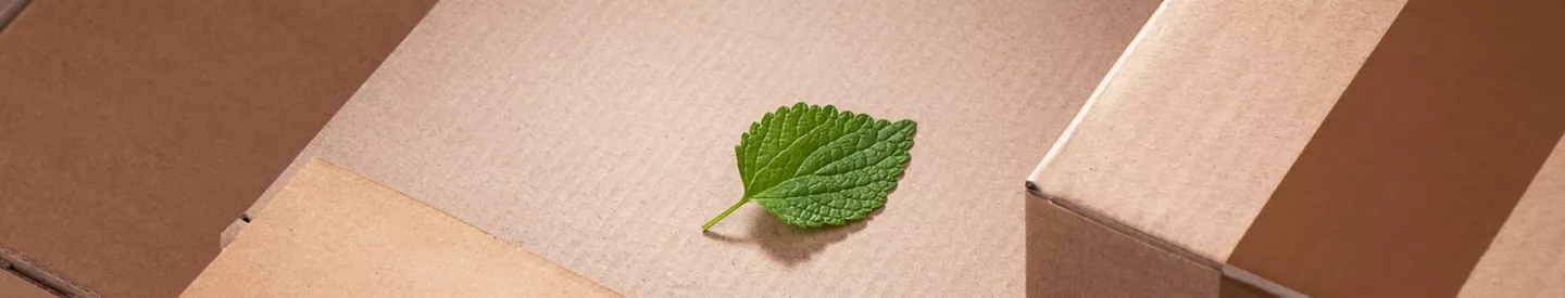 Duurzamer hout, papier en karton bij ALDI supermarkten