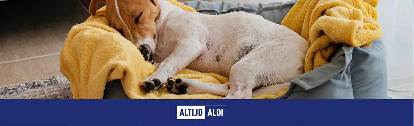 antwoorden meest gestelde vragen honden