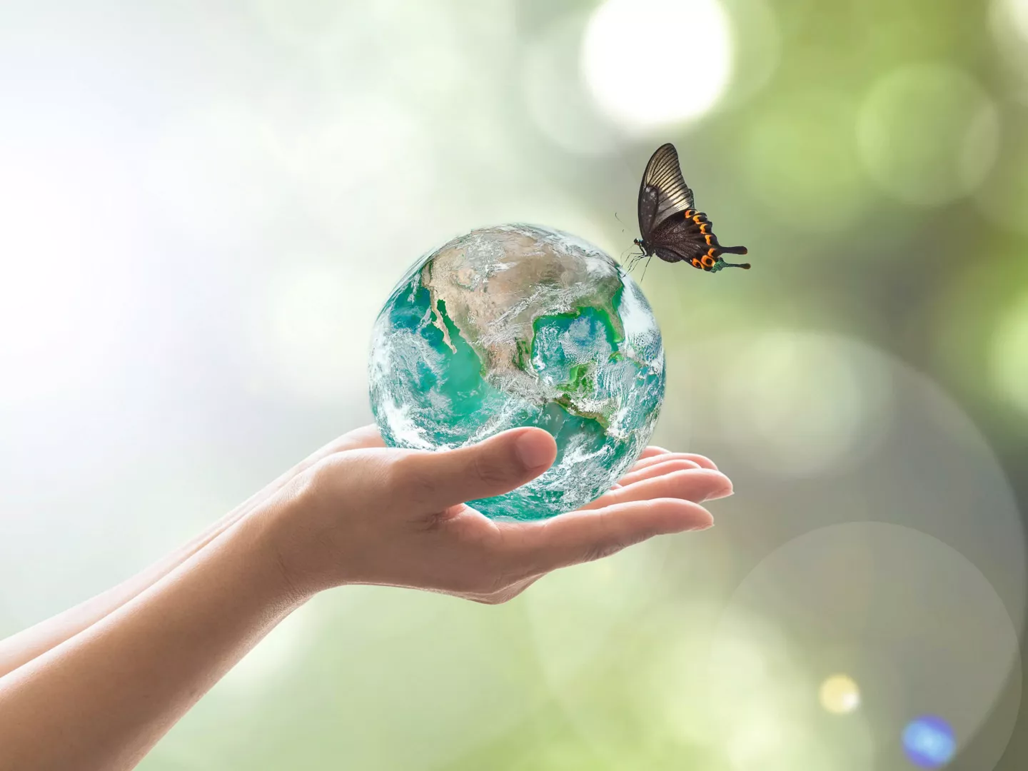 Manos sujetando planeta Tierra mariposa