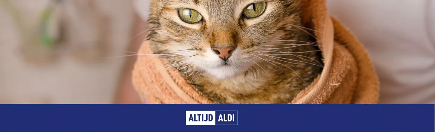 moet je een kat wassen