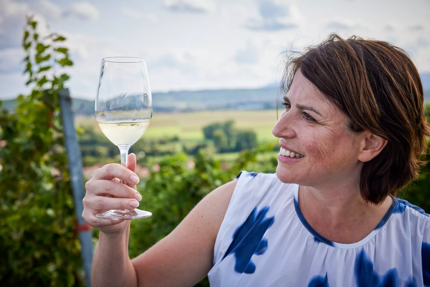 Sommelier ALDI